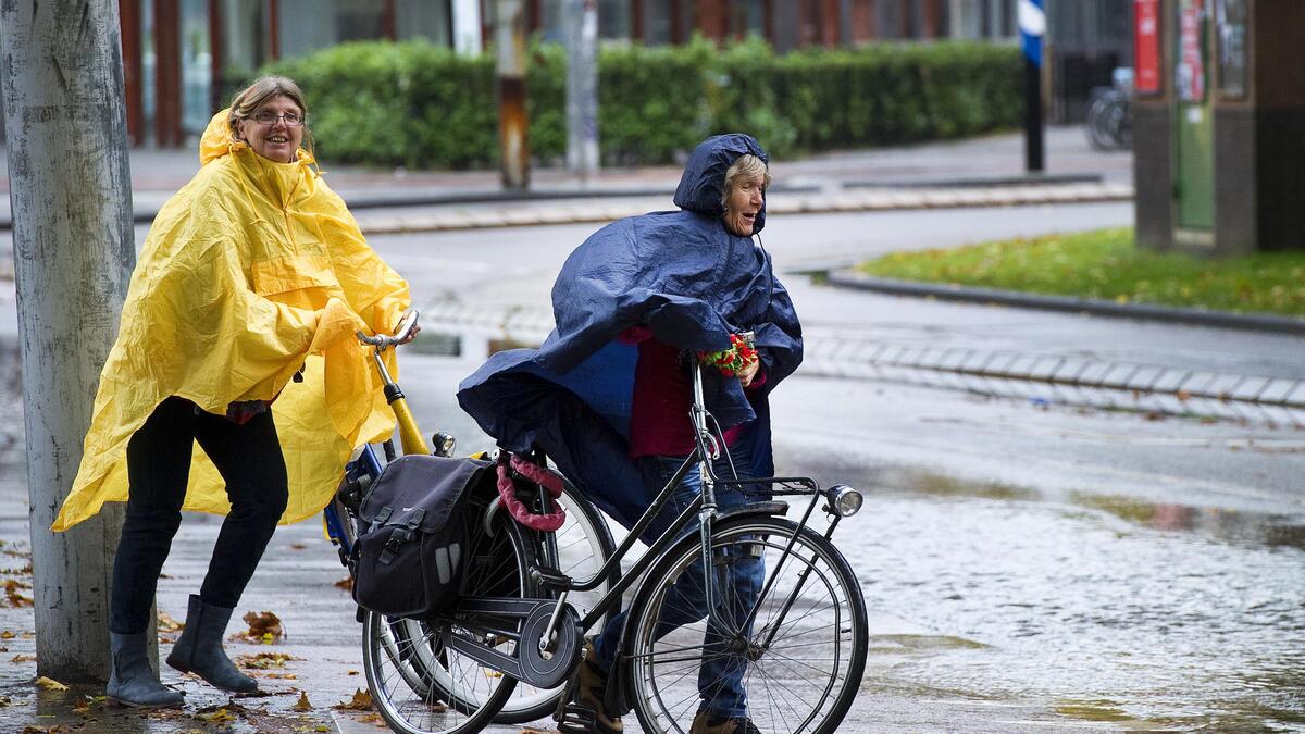 Regen! Vier tips van experts waarop je moet letten als